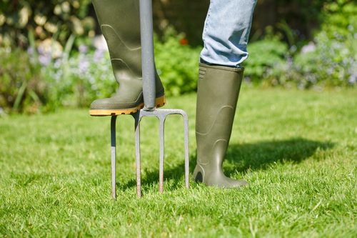 When’s the Best Time for Lawn Aeration?