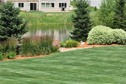 The Ultimate Guide to a Lush, Green Lawn Year-Round Thumbnail